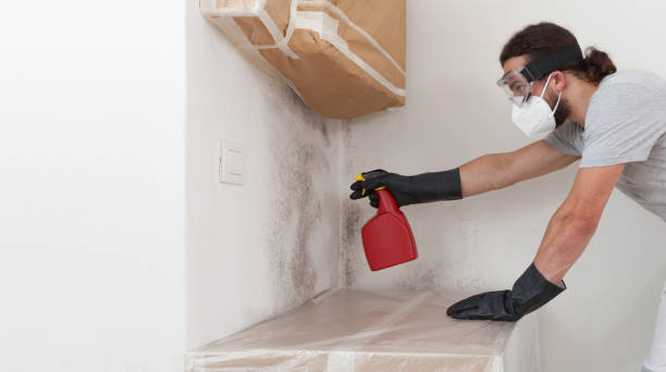 Professional Commercial Mold Remediation technician working in Riverview, MI