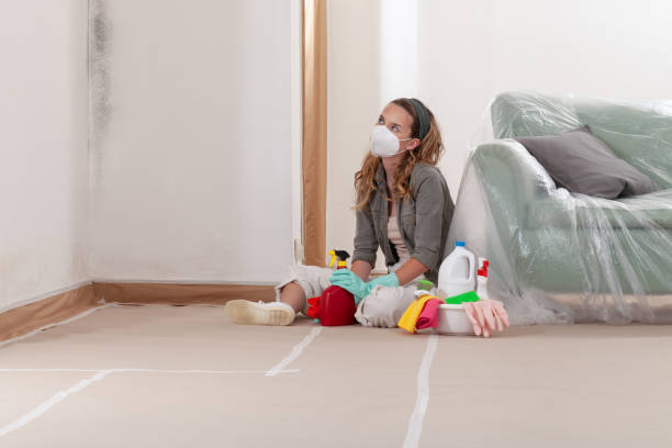 Reliable Commercial Mold Remediation contractor in Riverview, MI by Mold Remediation HQ