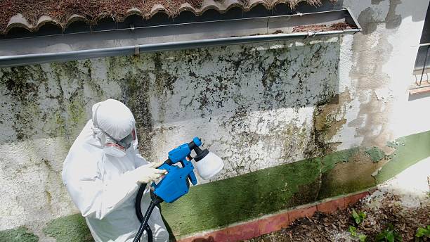 Top rated local Commercial Mold Remediation specialists in Riverview, MI